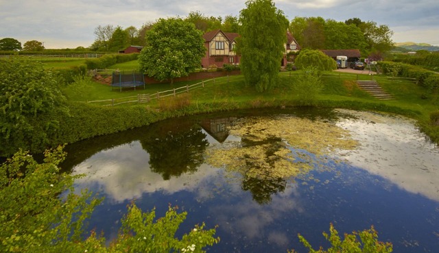 Classic Oak Frame Cottage - beautiful views