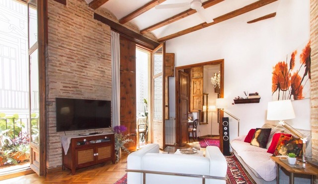 Classic Old Town Mester Apartments VLC