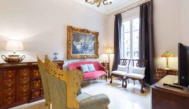 Classic style 7 bedroom apartment in the city center