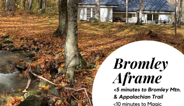 Classic VT Aframe - Minutes to Mountains