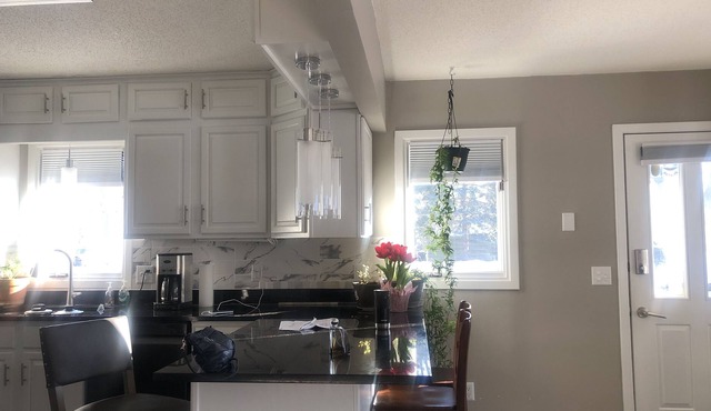 classic whole home with fireplace near airport mall of America