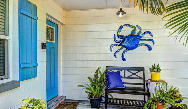 Classy & Clean Pet Friendly