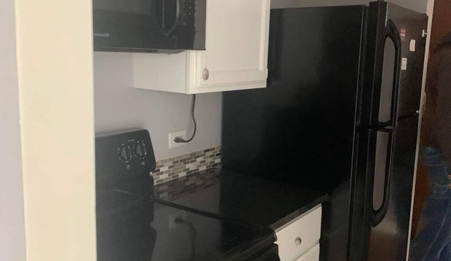 Classy Downtown 1 Bed Condo, free parking garage. nGarage enter clearance 6'8"
