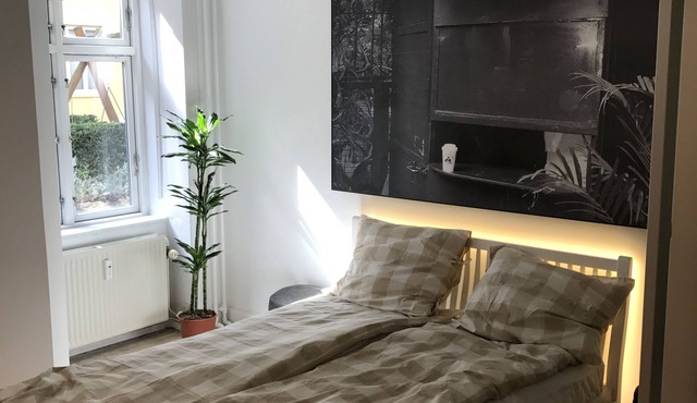 Classy original Copenhagen apartment