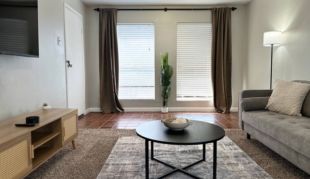 Clean & Affordable Austin Apartment. FAST WIFI, FREE Parking