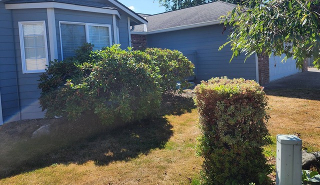 Clean, and Comfortable 3 bedroom House