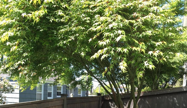 Clean and convenient, we are happy you're here visiting or just hanging out :).