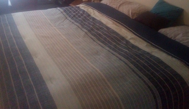 Clean and cozy one bedroom one bath apartment in Champaign Il