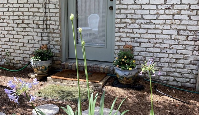 Clean and cute 1b/1b, kitchenette, w/d, private fenced in yard, 1 block to beach