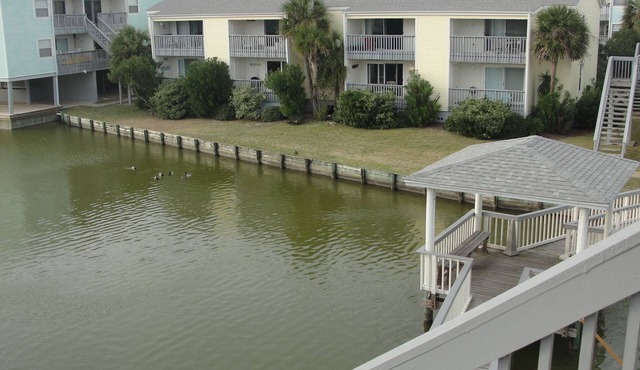 CLEAN and NEWLY Renovated! Relaxed and Fun Decor. 2B/2B with W/D