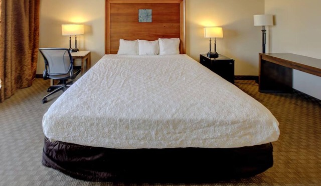 Clean and Simple Room with King Bed Perfect for Exploring Downtown Dallas