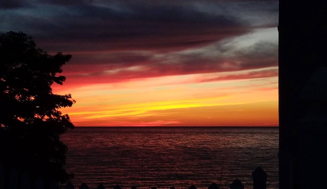 Clean, comfortable cottage located off the Strip, pets welcome, vacation ready