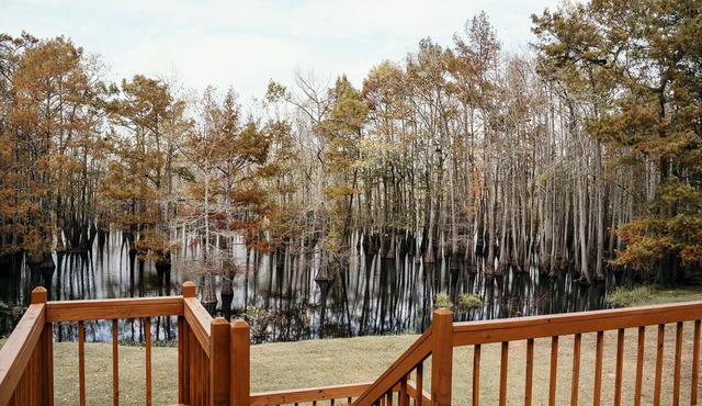 Clean & Comfy, Deck, Grill, Fire Pit, Fish, and Fun!