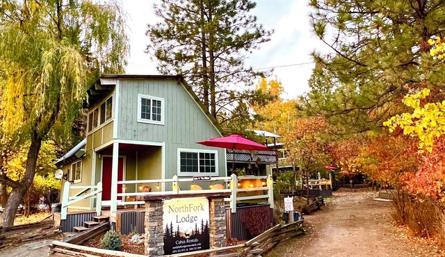 Clean cozy cabin within 1/2 mile of 2 lakes and 100’s of sq miles of wilderness.