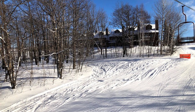 Clean, Cozy & Completely Updated! 1B 1B Condo w Jetted Tub Room!