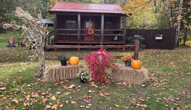 Clean & cozy couples cabin close to the Porcupine mountains~Rustic yet modern