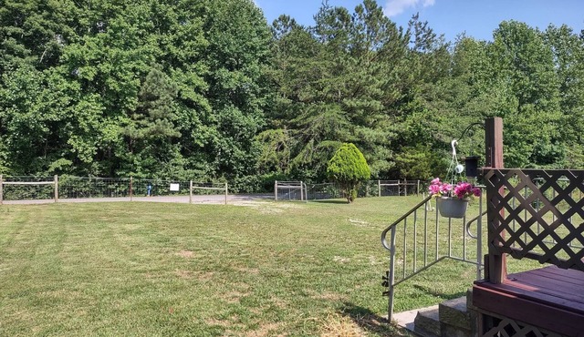 Clean, Cozy Home W Kitchen Near I-24 Pet Friendly