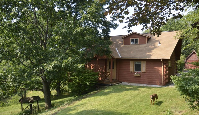 Clean, Fox Chapel Area, 20 Minutes from Downtown Pittsburghn