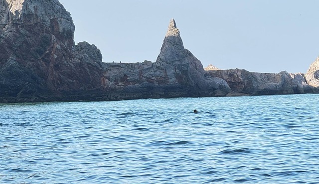 Clean holiday studio apartment in the heart of Babbacombe