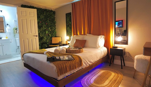 Clean Luxury Boho in Orlando 25 min from Theme Parks