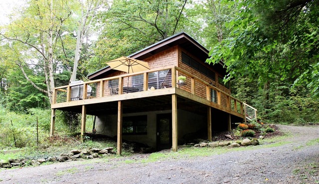 Clean, modern cabin surrounded by nature
