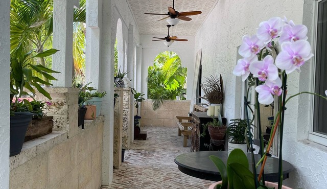 Clean, New, Spacious, in Coconut Grove!