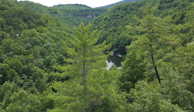 Clear View Retreat: Cabins in the woods near Obed, Catoosa, Crossville, & more