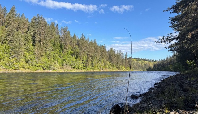 Clearwater B&B Kamiah. World class Steelhead& Salmon fishing. Free breakfast op.