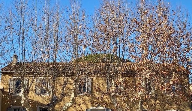 Click!OMG Beach Pool 2-4-6-8-10-12p The Secret Madine Cocoon