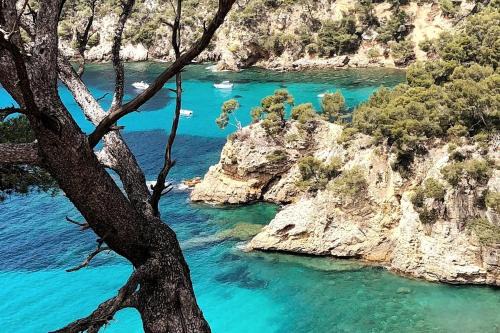 Click! OMG Beach Pool The Secret Madine Cocoon in Provence