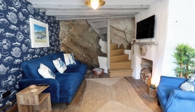 Cliff Face in Living Room! Beach 1 Min. Looe