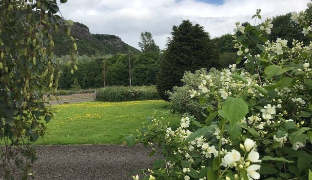 Cliff View, Free Parking, Free WiFi,