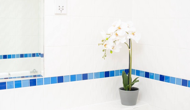 Clifton Jewel - 4 bed house w/parking. MyCityHaven