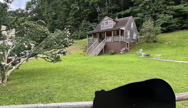 Climbing Bear - Black Bear Lodge WV