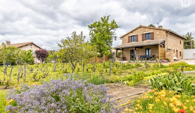 Clos de la Maison - Charnay LES Macon