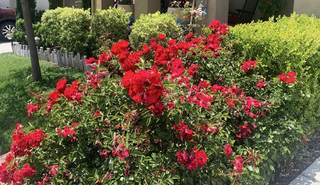 Close for all the winter recreation~skiing, snowmobiling, hiking, archery