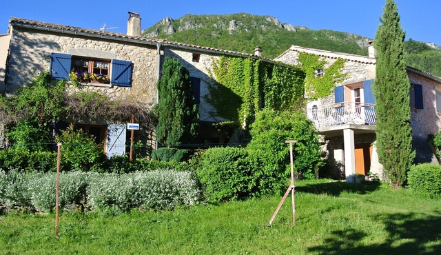 Close the skylight the sunflowers