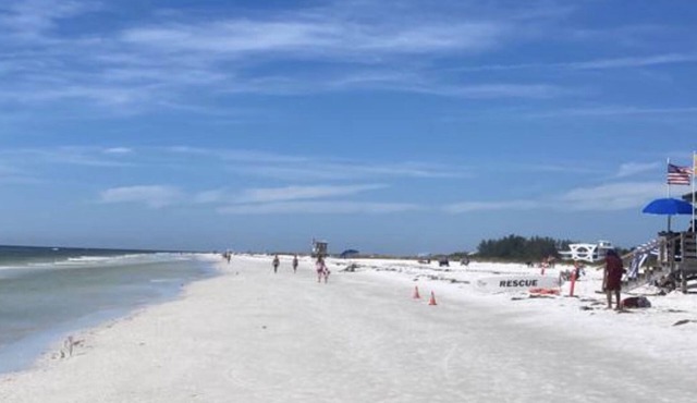 Close to beaches and downtown, Quiet, Impeccable home