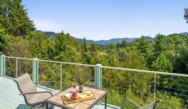 Close to DT Asheville & Weaverville, Apartment Included