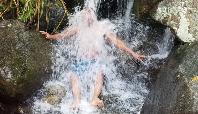 Close to Everything #1/Cerca de Todo #1