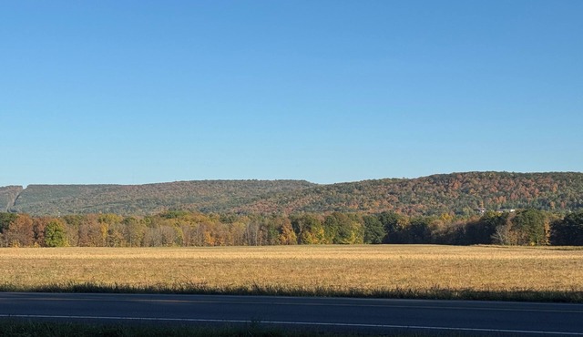 Close to everything-tucked away from the noise. A brand-new, blissful stay.