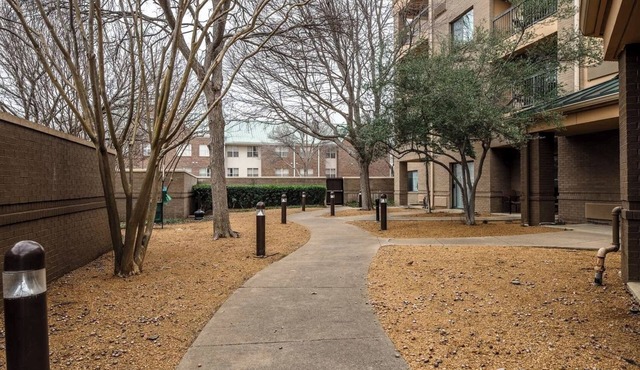 Close to George W. Bush Presidential Center! Pet-Friendly, FREE Parking, Pool!