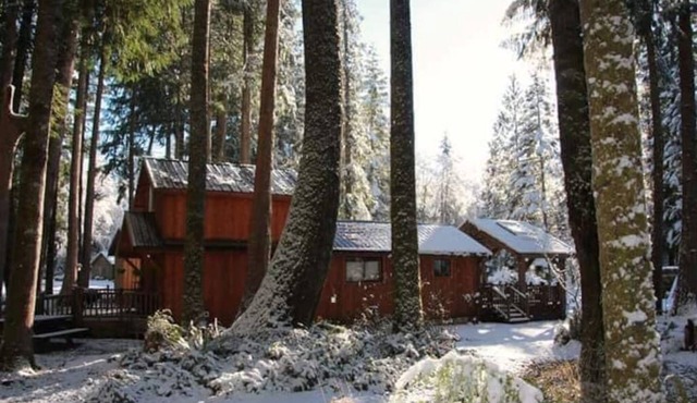 Close to Mt. Rainier. AC in the summer Wood stove for Emergency heat & cooking.