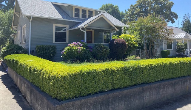 Close to Silver Falls and the Oregon Gardens.