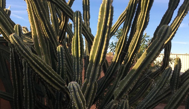 Close to Superstition Mountains Wilderness and Lost Dutchman State Park
