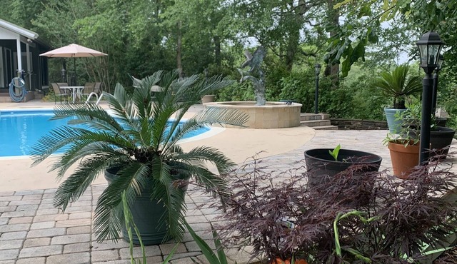 CLOSE TO THE BEACH, BEAUTIFUL ESTATE, SOUTHERN HOSPITALITY