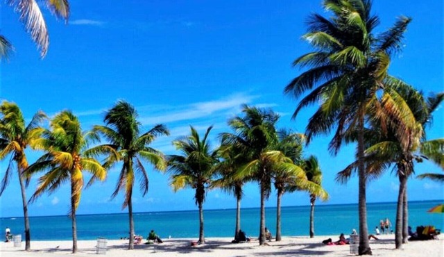 Close to the Beach spacious One Bedroom with Pool