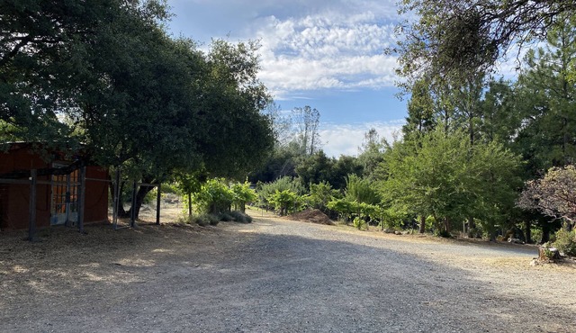 Close to town and river country setting home