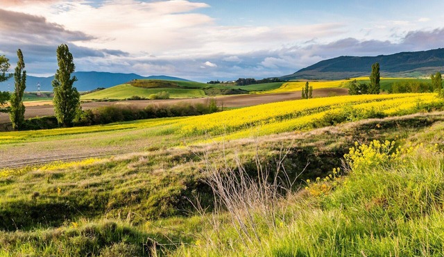 Close to two big towns and the airport