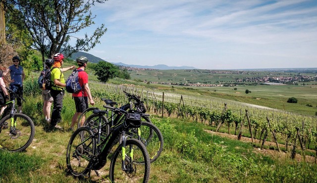 Close to "villages classés préférés" on the Alsace wine route, in a peaceful setting